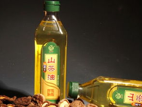食用油選擇指南 從標(biāo)簽到搭配，科學(xué)選油更健康